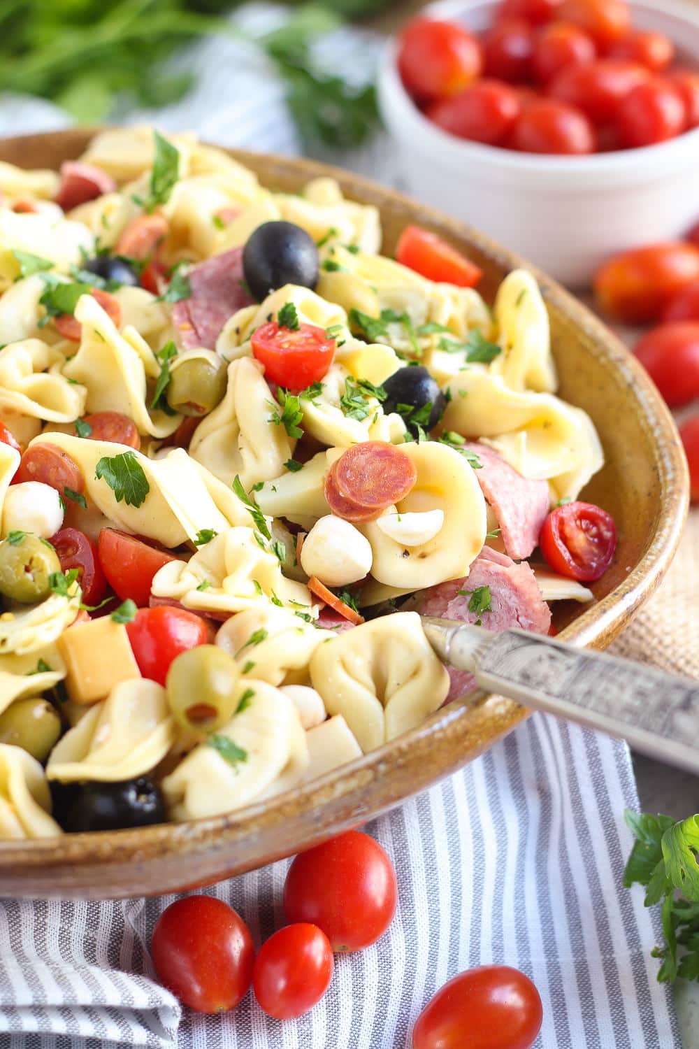 Simple Antipasto Pasta Salad | Midwest Foodie