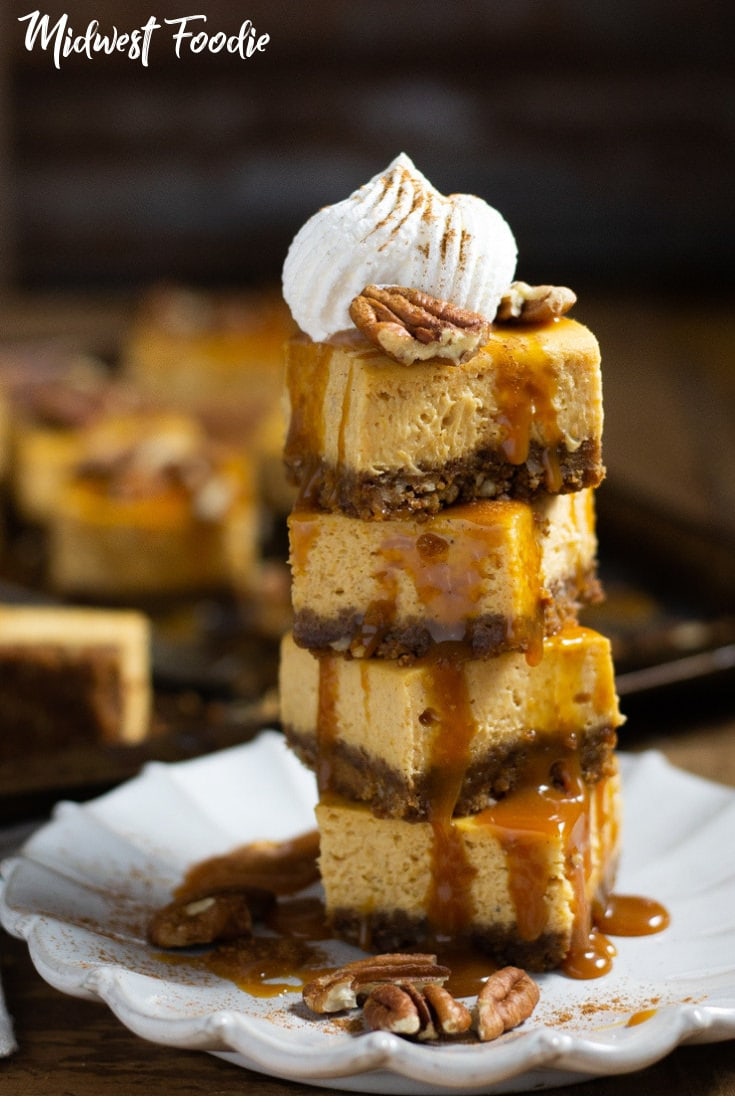The Easiest Pumpkin Cheesecake Bars | Midwest Foodie | This classic cheesecake is loaded with those Fall flavors of pumpkin and cinnamon with a gingersnap pecan crust. Simple, easy and delicious! #midwestfoodie #holiday #dessert