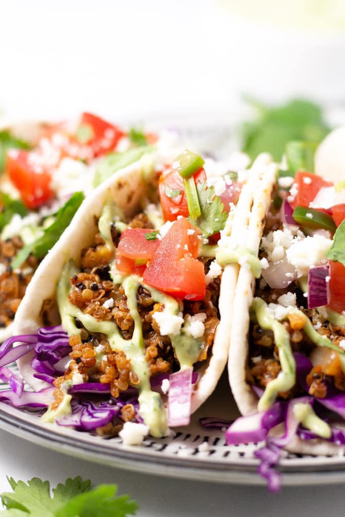 Close up of a plate filled with vegan tacos