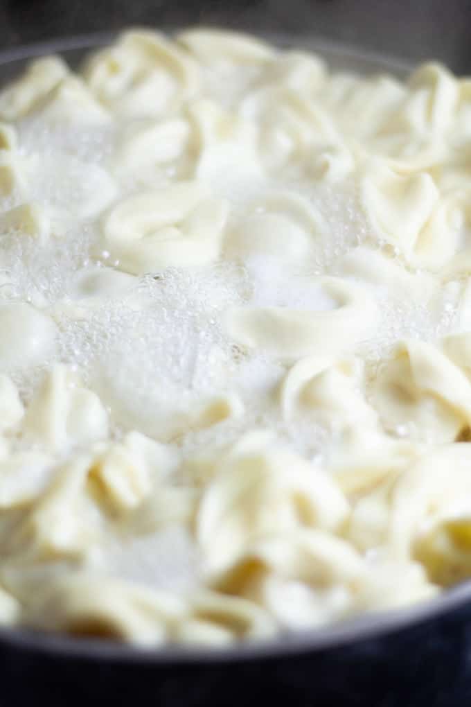 Close up shot of cheese tortellini in boiling water