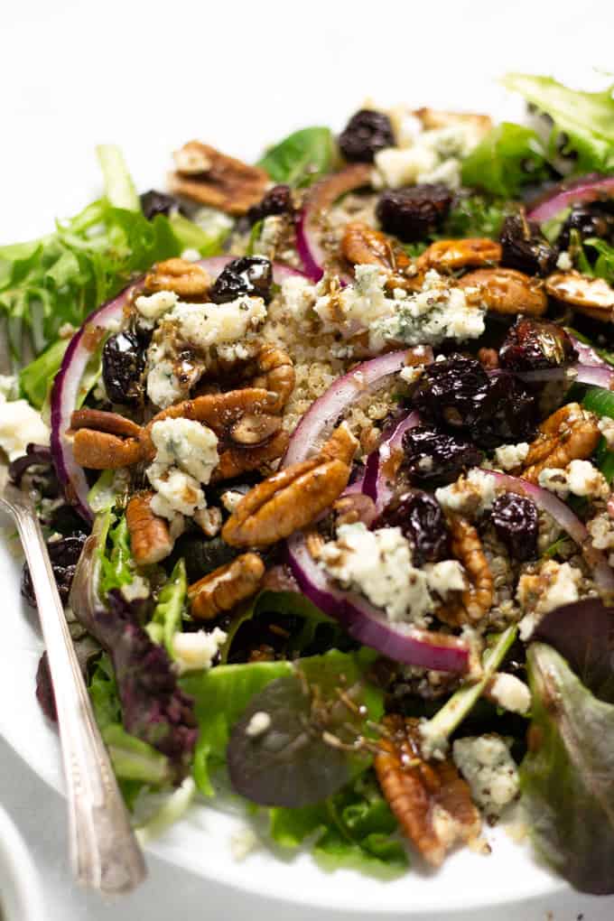 Close up shot of a dried cherry salad with Gorgonzola cheese and red onions