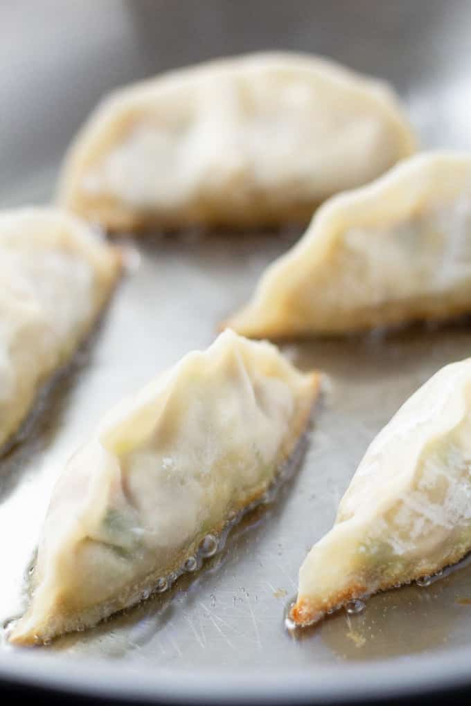 Close up photo of dumplings being cooked in oil in a pan