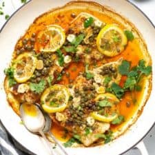 Mediterranean Fish-image