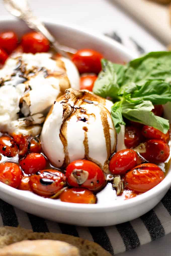 Close up shot of a white platter filled with roasted tomatoes and burrata garnished with fresh basil 