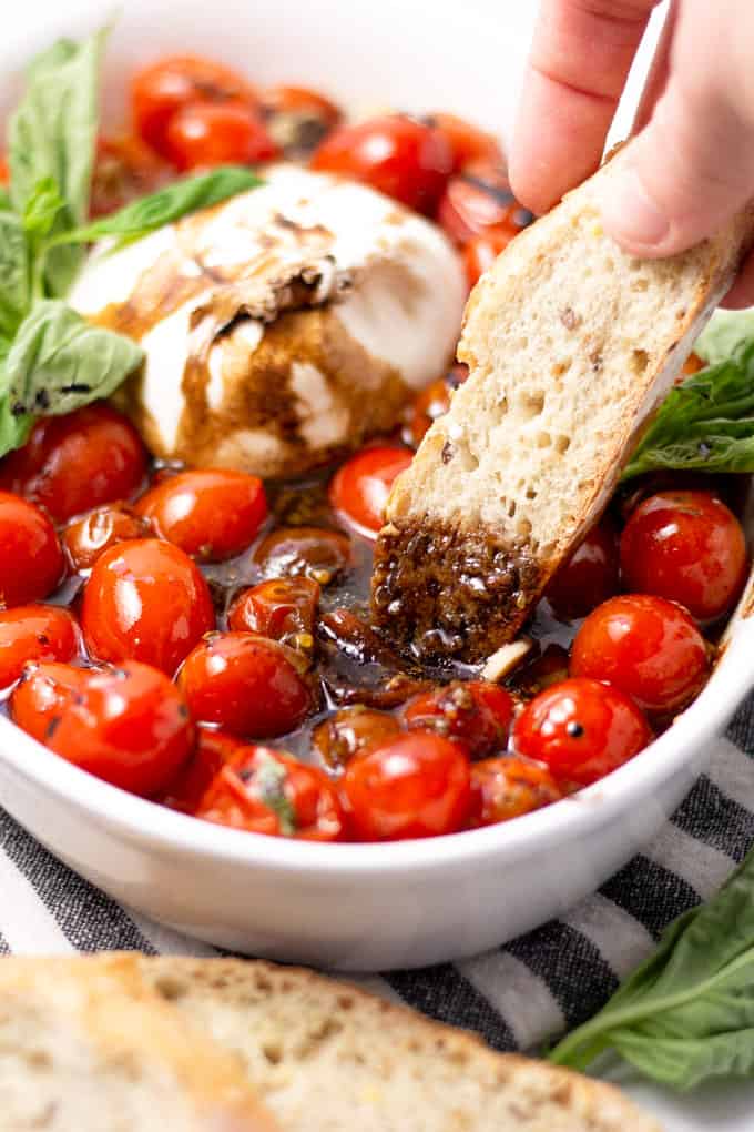 Close up shot of a white platter filled with roasted tomatoes and burrata garnished with fresh basil 