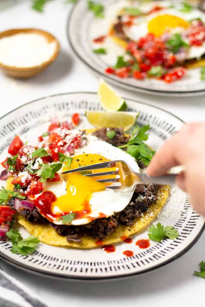 Mexican breakfast tostada on a white and black plate garnished with fresh cilantro and pico de gallo