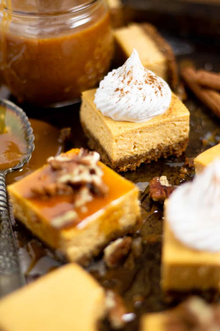 Close up shot of pumpkin cheesecake bars garnished with whipped cream and cinnamon 