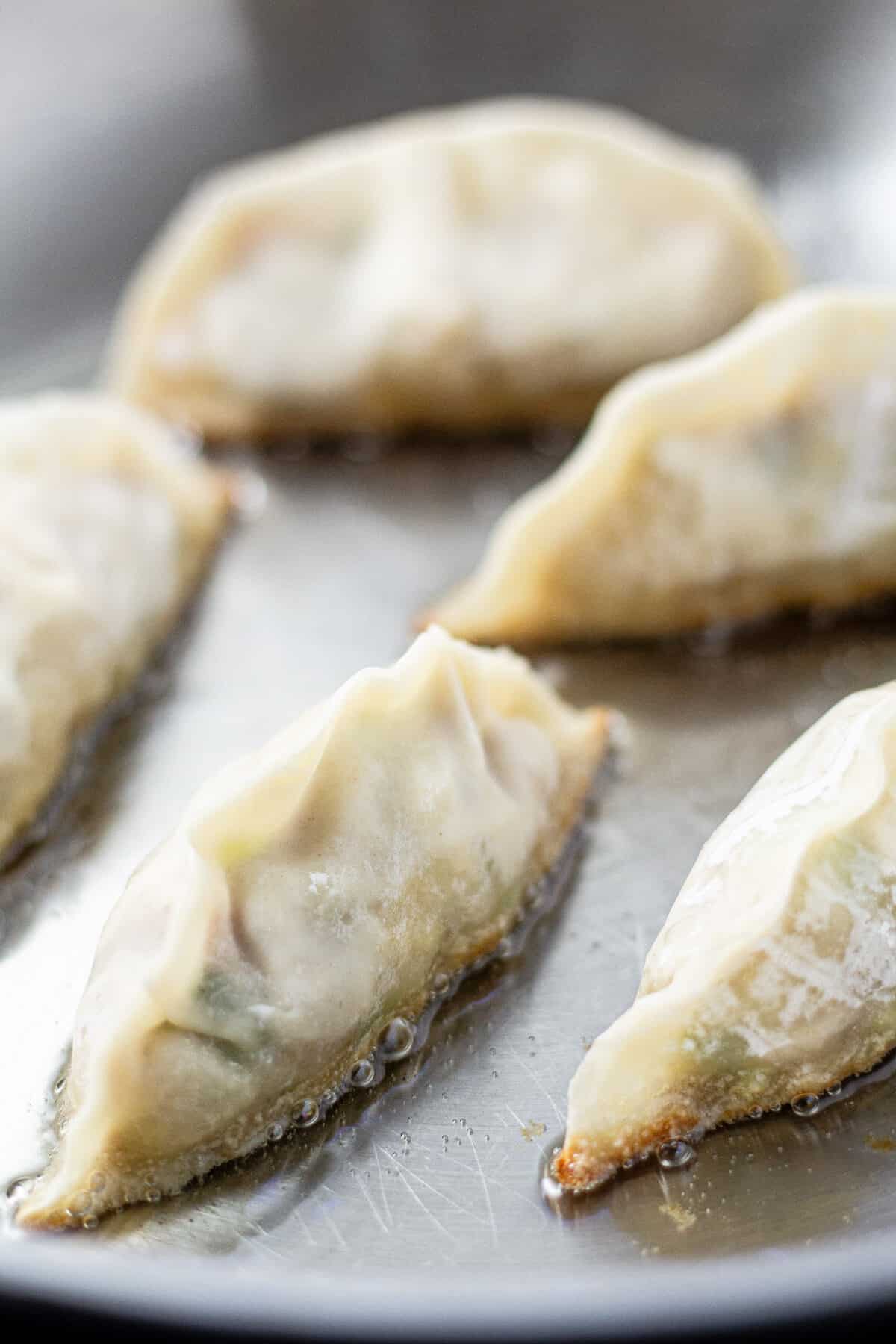 Close up photo of dumplings being cooked in oil in a pan 