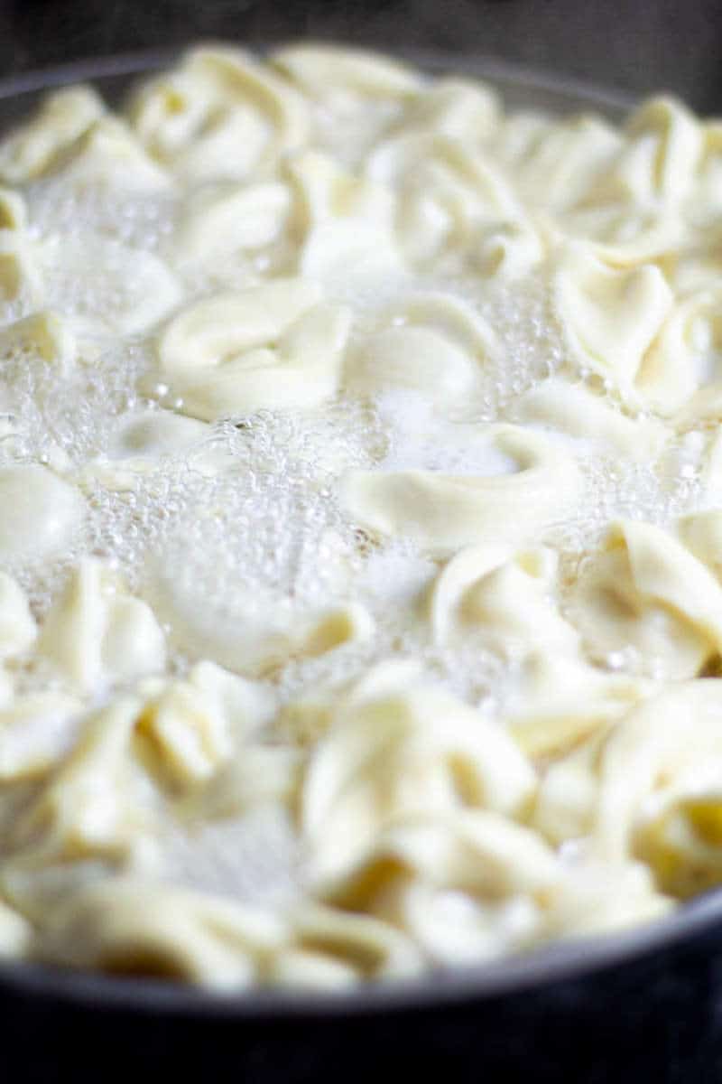 Close up shot of cheese tortellini in boiling water