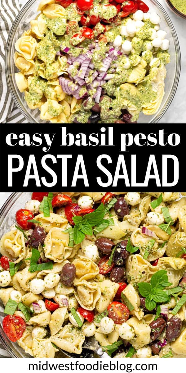 Easy Pesto Pasta Salad with Tortellini - Midwest Foodie