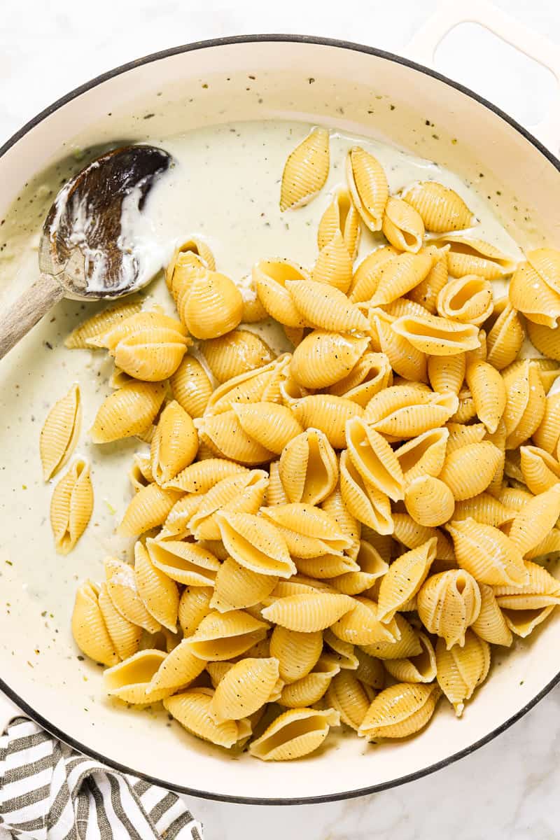 Large white pan with shell noodles and creamy blue cheese sauce