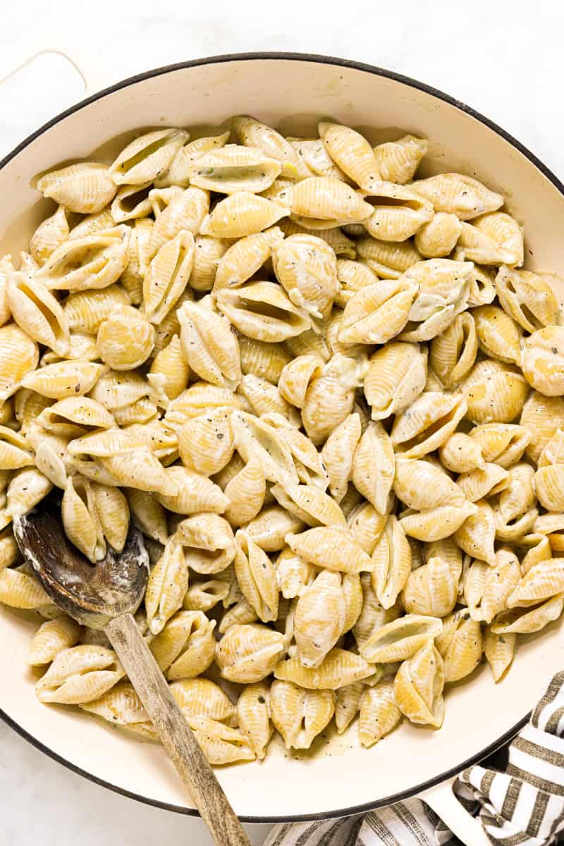 Large white pan with shell noodles and creamy blue cheese sauce