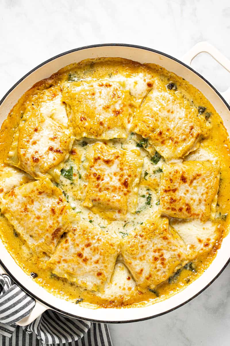 Large white pan filled with butternut squash lasagna roll ups