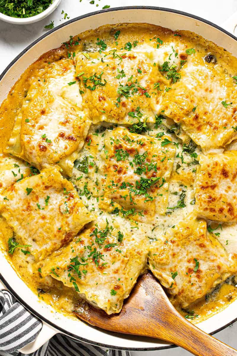 Large white pan filled with butternut squash lasagna roll ups garnished with parsley