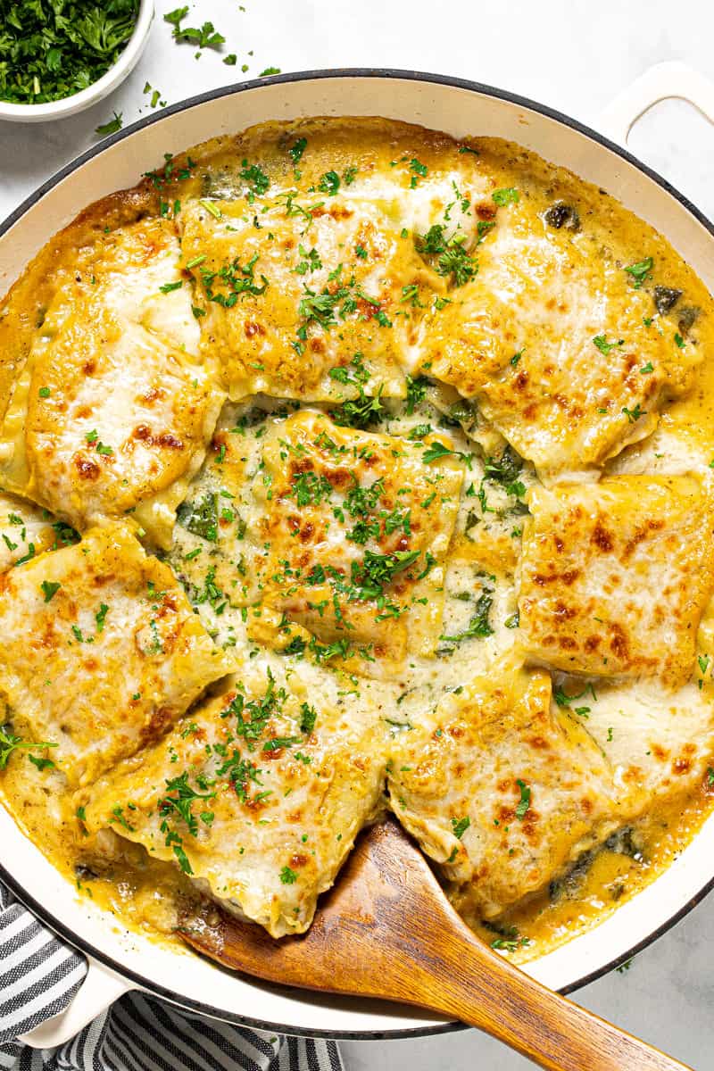 Large white pan filled with butternut squash lasagna roll ups garnished with parsley