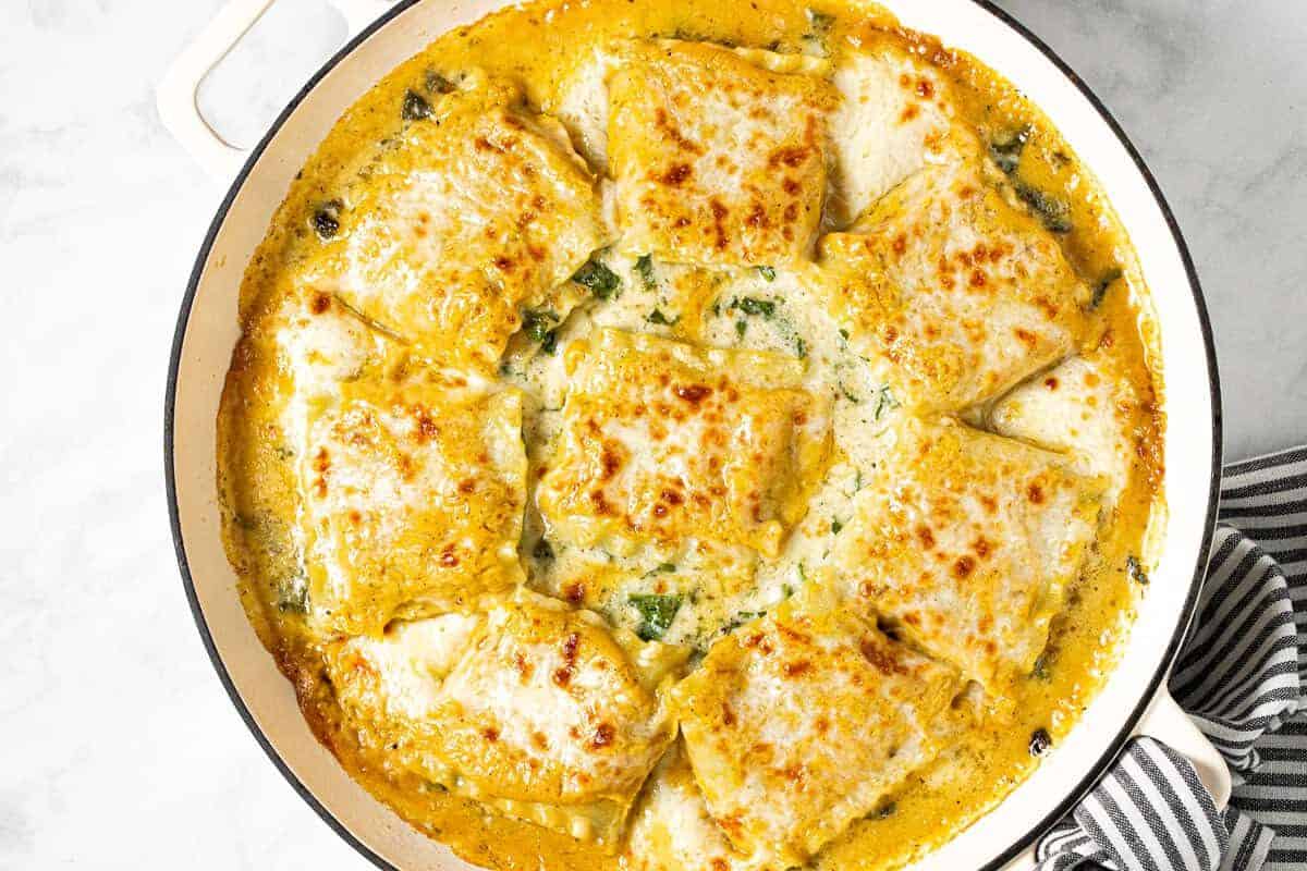 Large white pan filled with butternut squash lasagna roll ups
