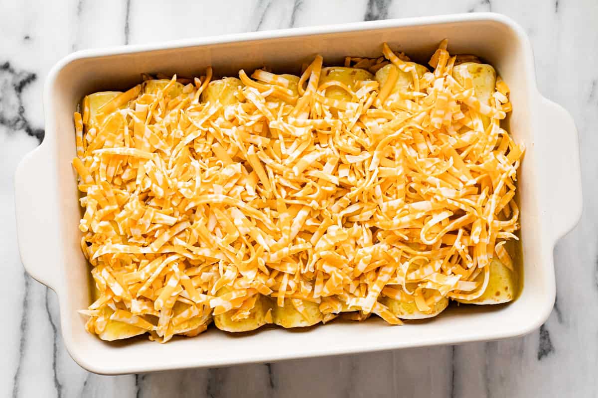 A white pan filled with homemade green chicken enchiladas topped with shredded cheese.