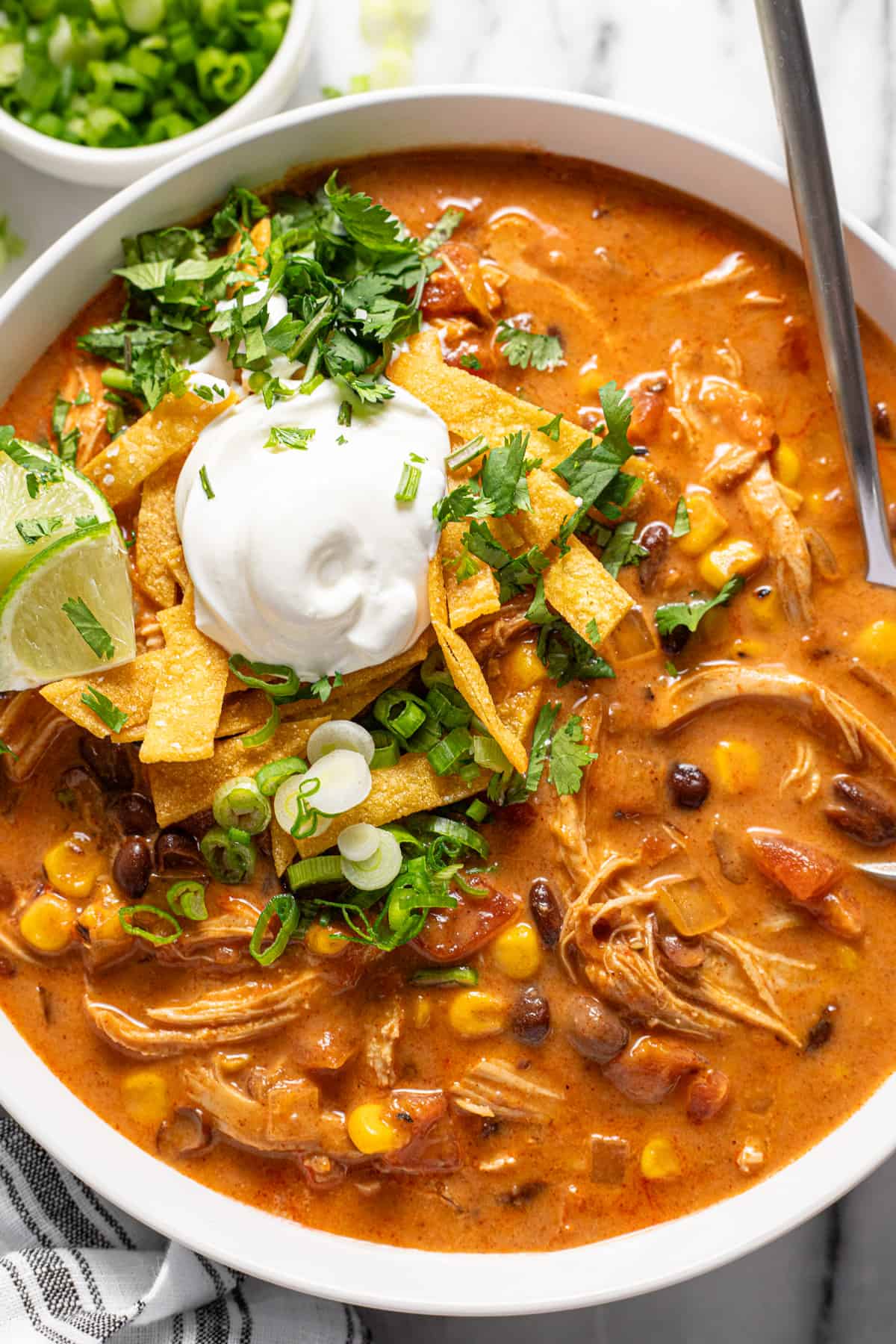 Large bowl of chicken enchilada soup topped with tortilla strips, sour cream, cilantro, and green onions.