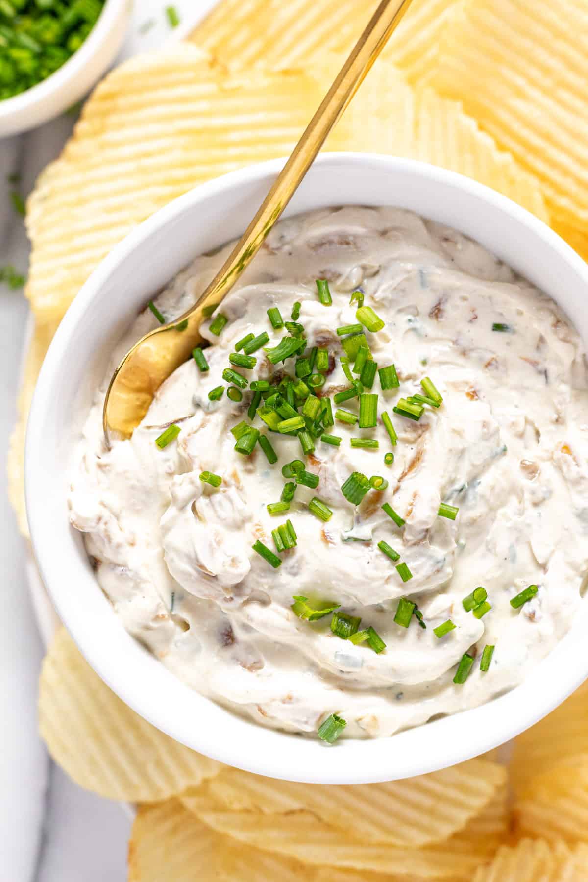 Savory Spice Seven Onion Dip Mix 3 Count