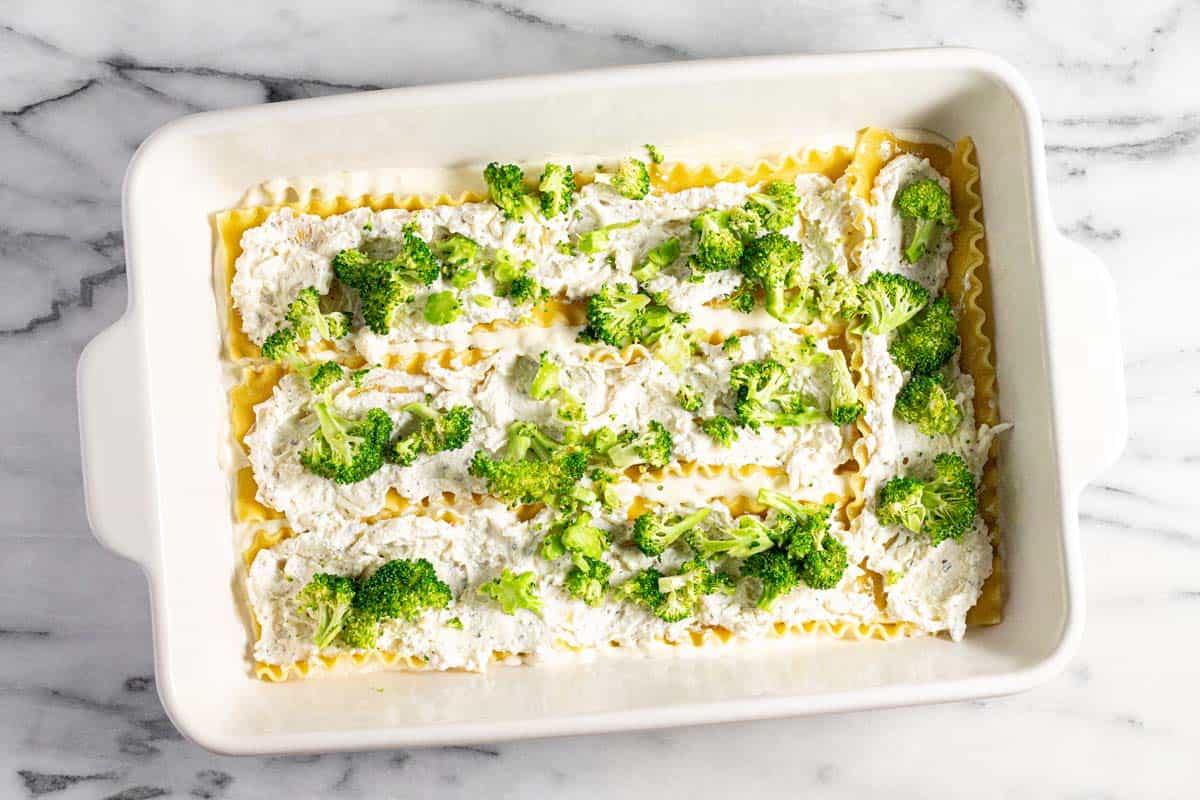 Large lasagna pan filled with layers of sauce, noodles, ricotta, and broccoli. 