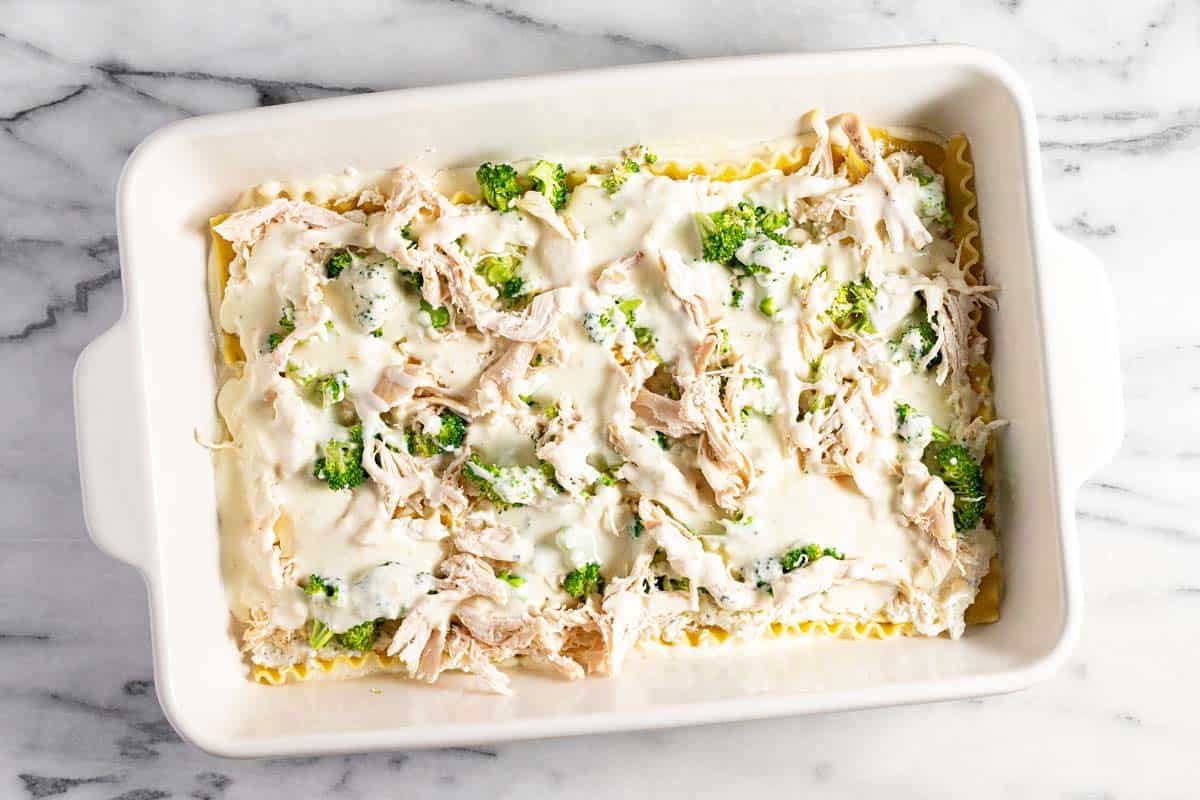 Baking dish filled with layers of sauce, noodles, ricotta, broccoli, shredded chicken, and alfredo sauce. 