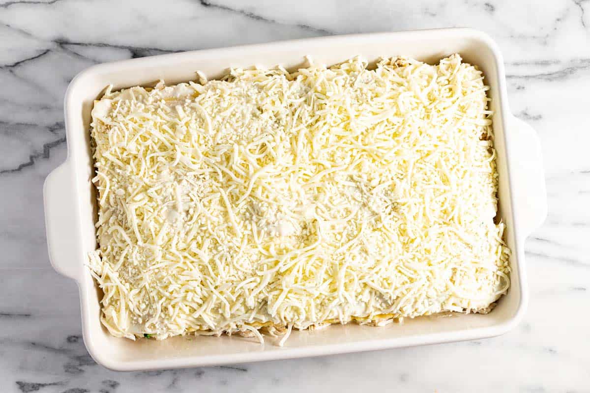 Baking dish filled with chicken alfredo lasagna ready to be baked in the oven. 