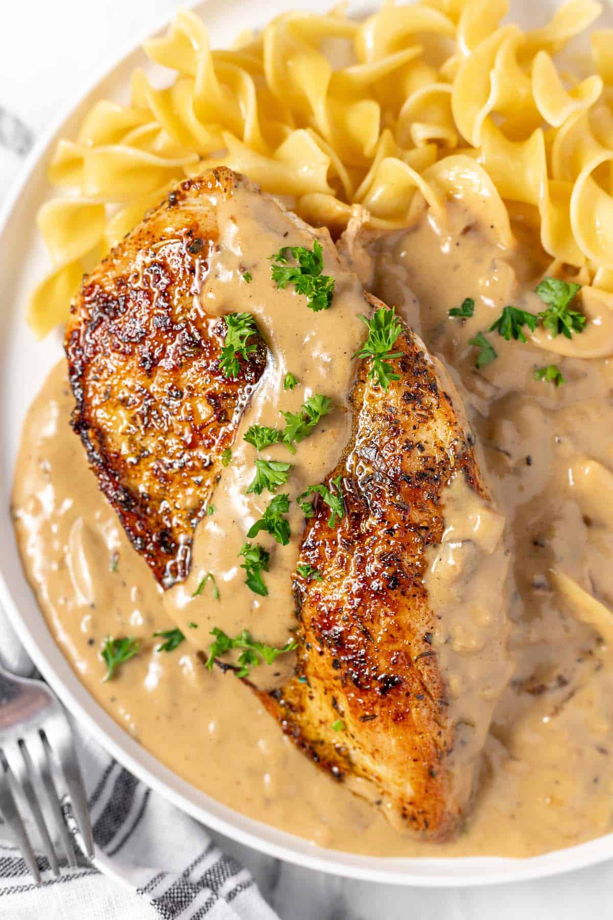 Sauteed chicken breast with creamy mushroom sauce and egg noodles. 