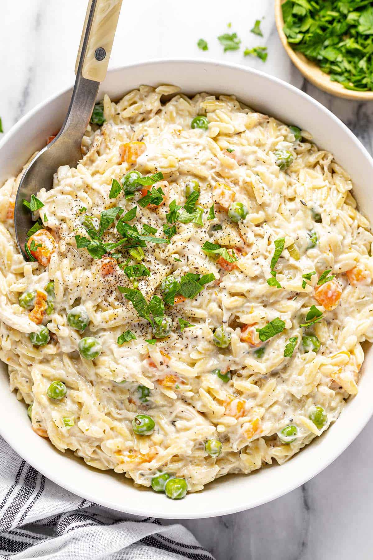 Large bowl of creamy chicken and orzo pasta. 