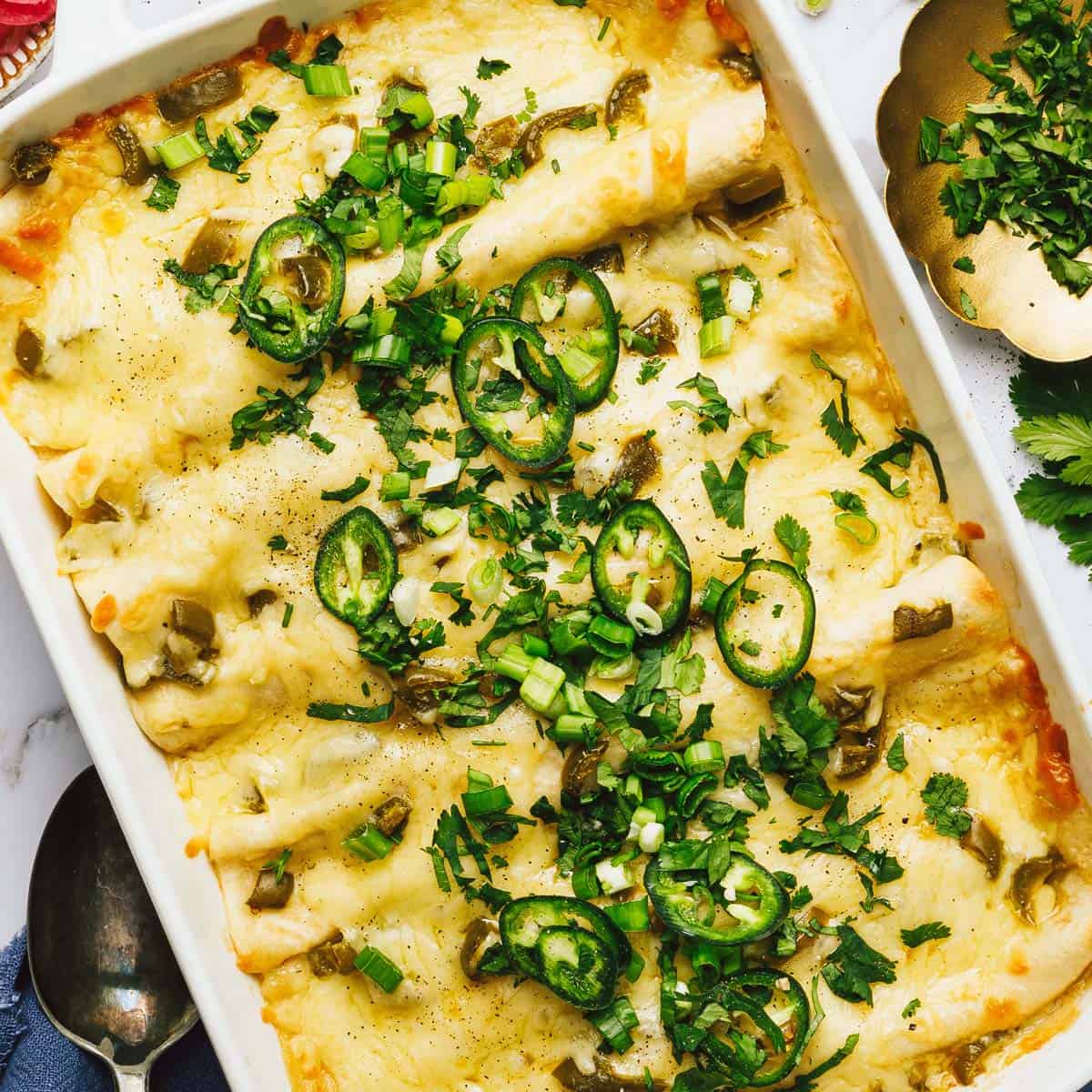 Easy White Chicken Enchiladas